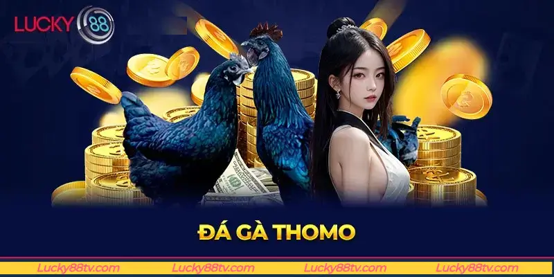 Giới thiệu tổng quan về đá gà Lucky88