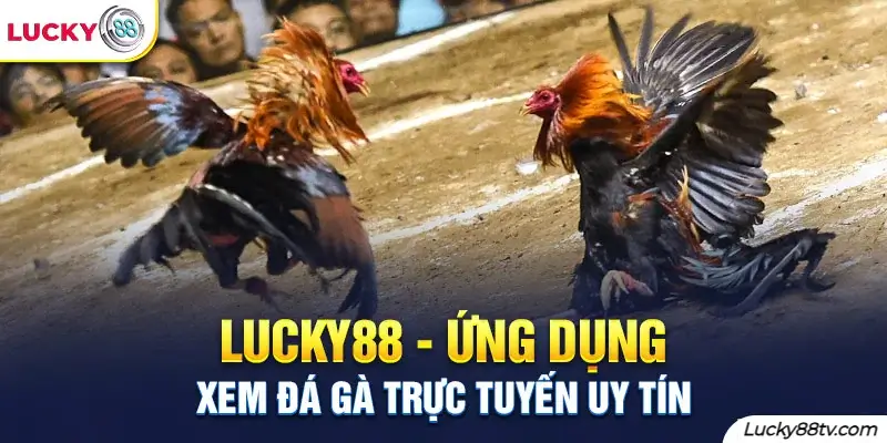 Tăng thêm cơ hội thắng cược tại Lucky88